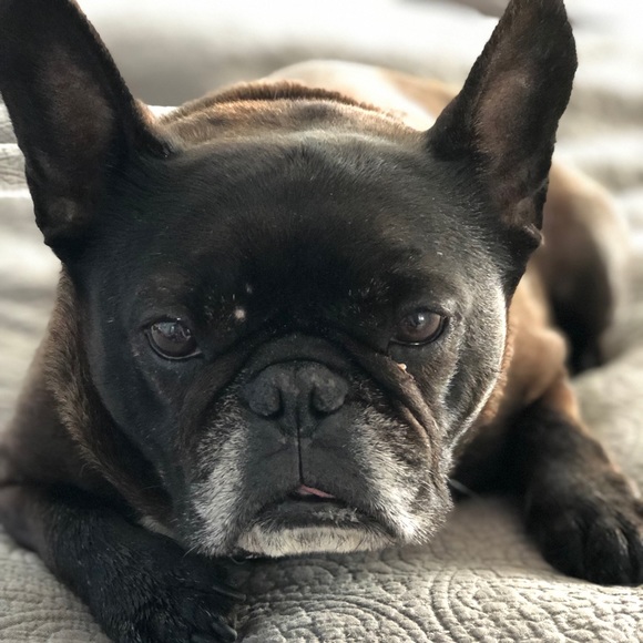 Meet your Posher, Beth - Picture 1 of 1